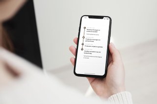 Afbeelding van de webapplicatie — Zorrilla